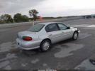 Chevrolet Malibu Image 14