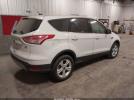 Ford Escape Se Image 16