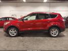 Ford Escape Sel Image 12