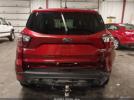 Ford Escape Sel Image 16