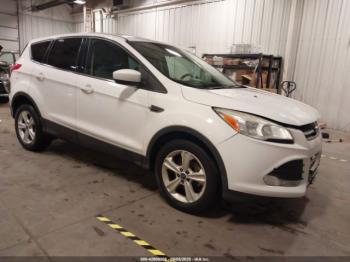  Salvage Ford Escape