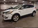 Ford Escape Se Image 6