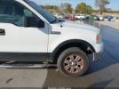 Ford F-150 Image 2