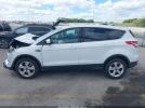 Ford Escape Se Image 15
