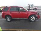 Ford Escape Image 3