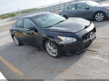  Salvage Nissan Maxima
