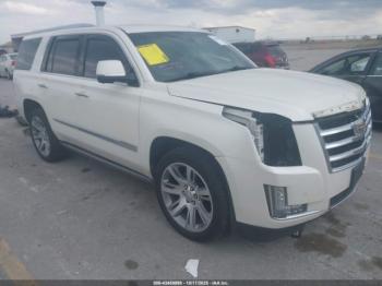  Salvage Cadillac Escalade