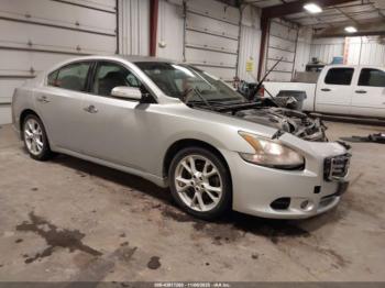  Salvage Nissan Maxima