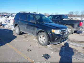  Salvage Ford Escape