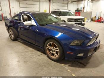  Salvage Ford Mustang