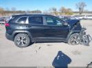 Jeep Cherokee Trailhawk Image 3