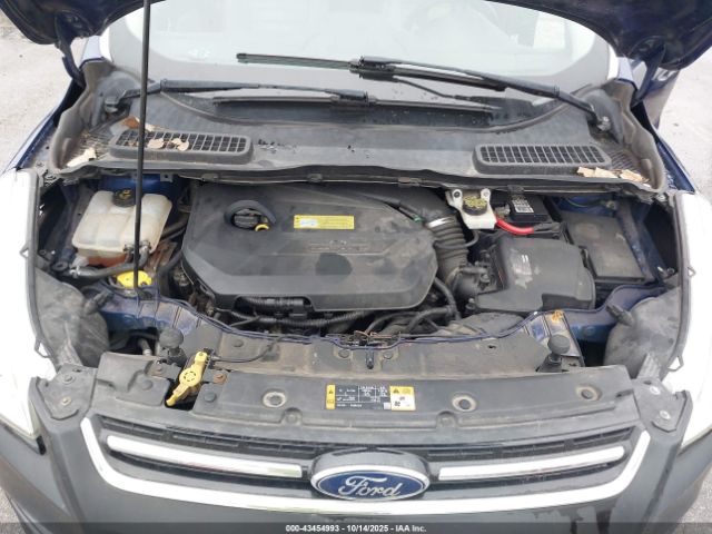 Ford Escape Sel Image 8