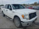 Ford F-150 Xlt Image 1