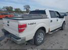 Ford F-150 Xlt Image 10