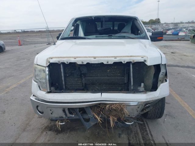 Ford F-150 Xlt Image 2