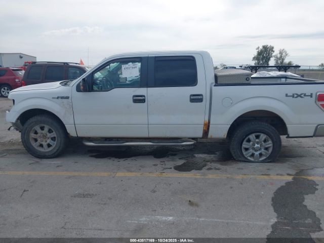 Ford F-150 Xlt Image 14