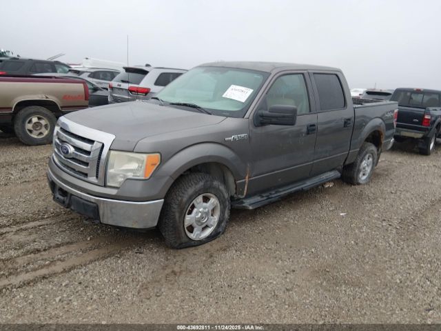 Ford F-150 Image 4