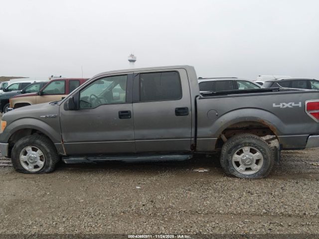 Ford F-150 Image 7