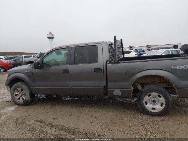 Ford F-150 Xlt Image 6