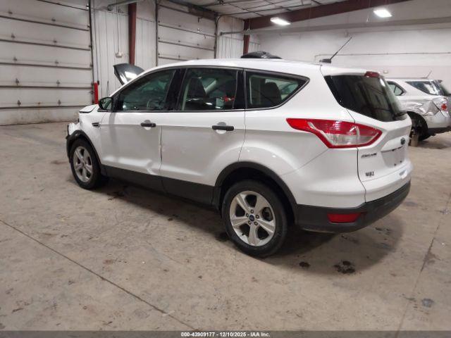 Ford Escape S Image 6