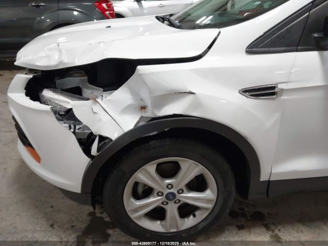 Ford Escape S Image 4