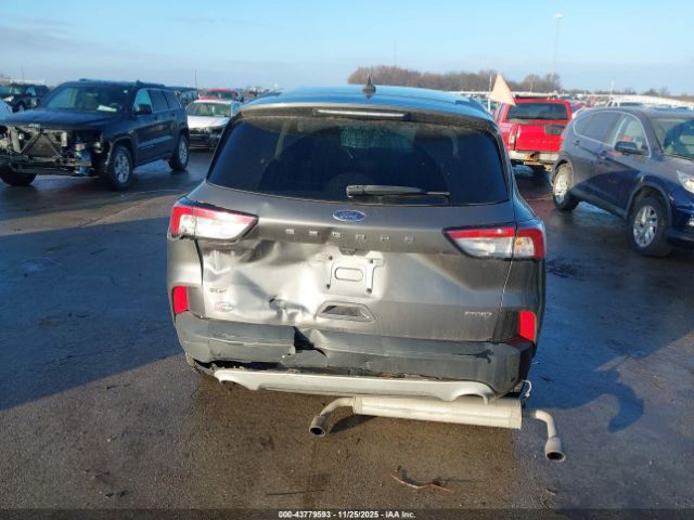 Ford Escape Se Image 10