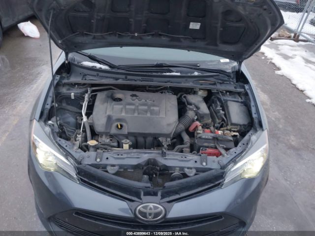 Toyota Corolla L Image 4