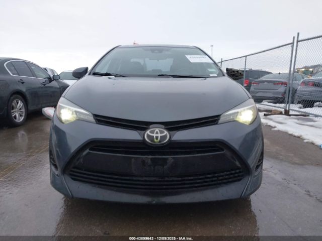 Toyota Corolla L Image 7