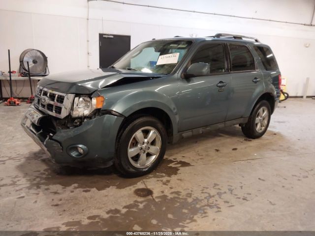 Ford Escape Limited Image 3