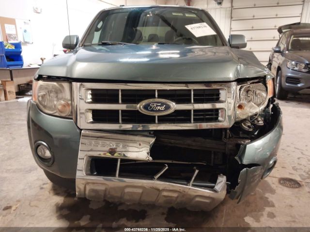 Ford Escape Limited Image 6