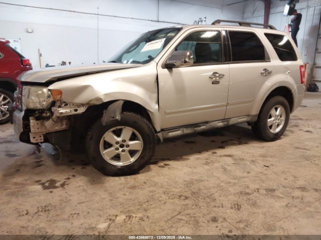 Ford Escape Xlt Image 4