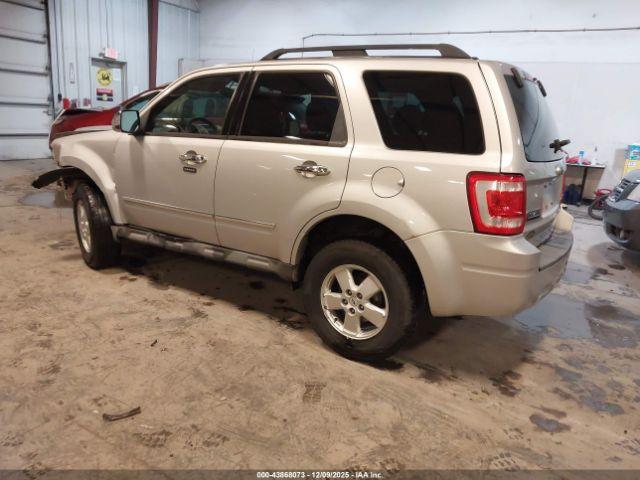 Ford Escape Xlt Image 10