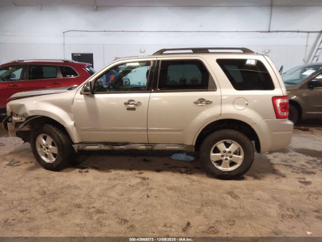 Ford Escape Xlt Image 12