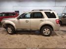 Ford Escape Xlt Image 12
