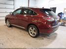 Lexus RX Image 13