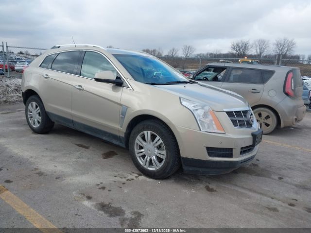 Cadillac SRX Luxury Collection Image 1