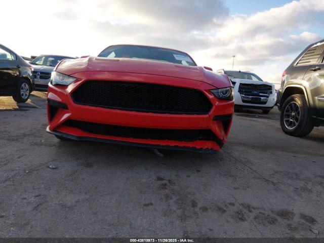 Ford Mustang Gt Fastback Image 16