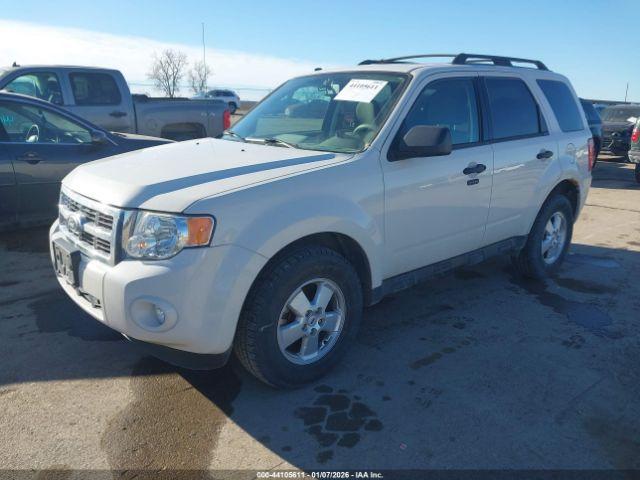 Ford Escape Xlt Image 3