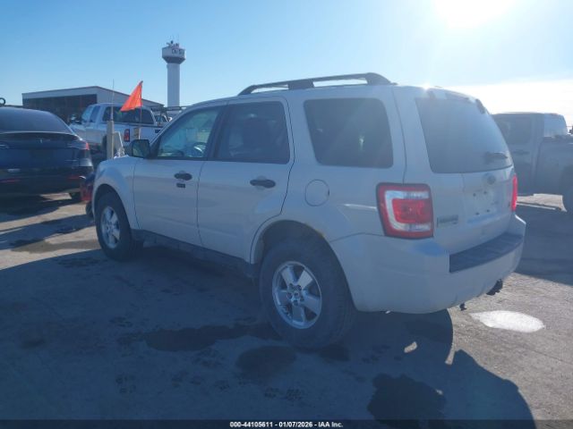 Ford Escape Xlt Image 4