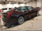 Cadillac CT5 Premium Luxury Image 11