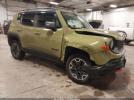 Jeep Renegade Trailhawk Image 1