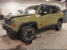 Jeep Renegade Trailhawk Image 3