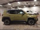 Jeep Renegade Trailhawk Image 7