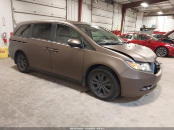  Salvage Honda Odyssey