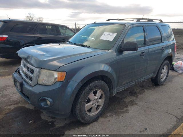 Ford Escape Xlt Image 9