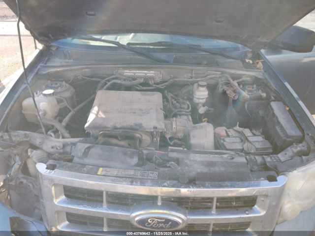 Ford Escape Xlt Image 10