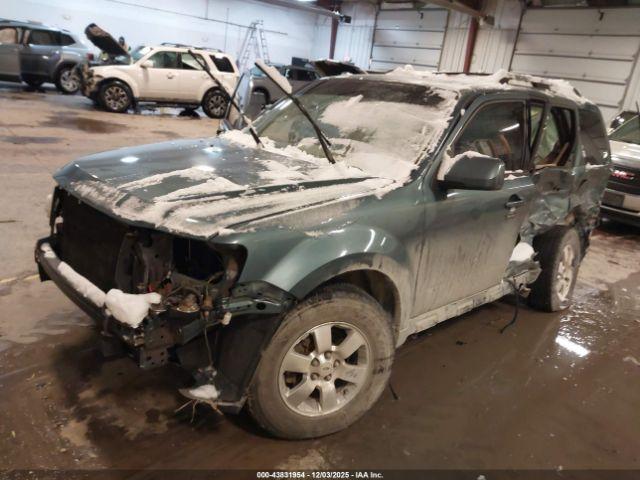 Ford Escape Limited Image 3